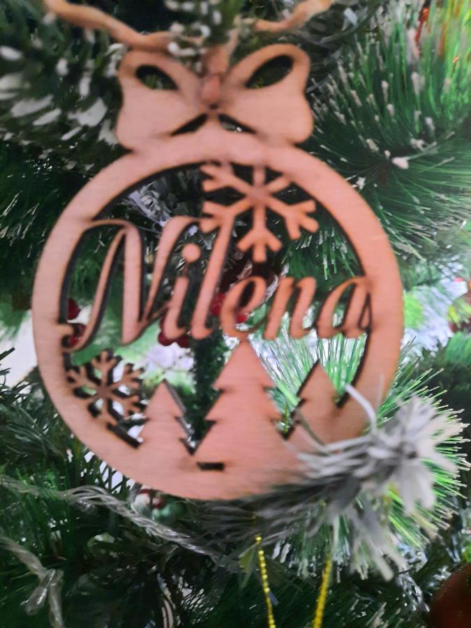 Nilena Apartmani 斯梅代雷沃 外观 照片